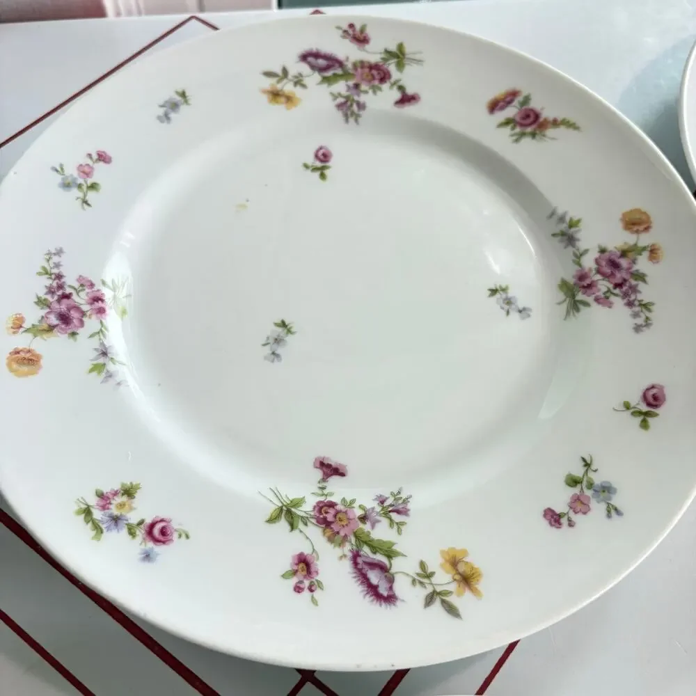 Bernardaud & Co Limoges some nice cracks